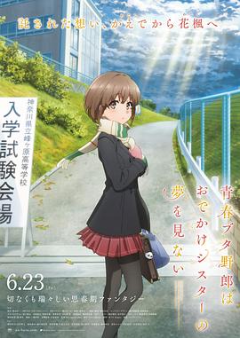 风流小姨子