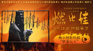久久久久欧美精品