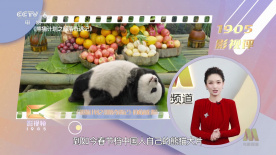 她来自胡志明